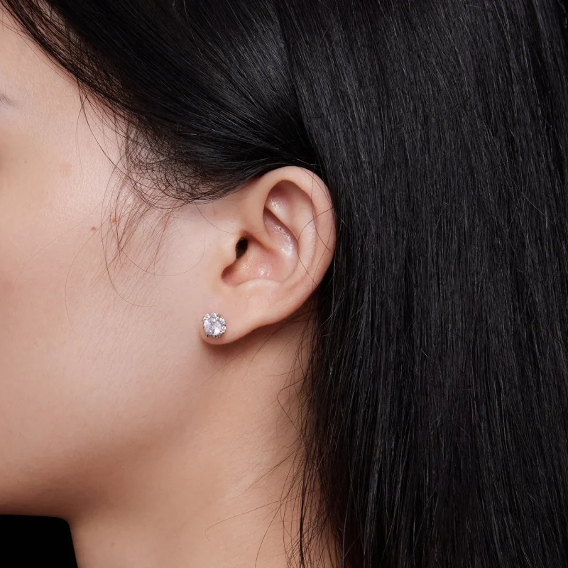 (afbeelding voor) Pandora Stijl Exquise Moissanite Studs Oorbellen (Twee Certificaten) - MSE017 - Bekijken 6