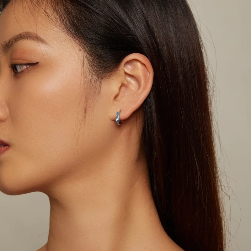 (afbeelding voor) Pandora Stijl Fonkelende Oorringen - SCE1614 - Bekijken 5