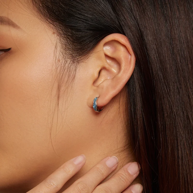 (afbeelding voor) Pandora Stijl Fonkelende Oorringen - SCE1614 - Bekijken 6