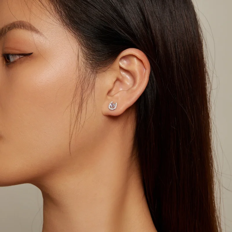 (afbeelding voor) Pandora-stijl Hoefijzer Ronde Oorpluggen Studs Oorbellen - SCE1612 - Bekijken 5