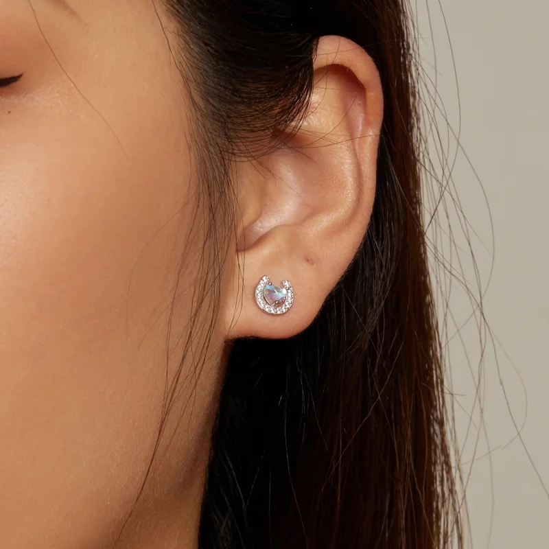 (afbeelding voor) Pandora-stijl Hoefijzer Ronde Oorpluggen Studs Oorbellen - SCE1612 - Bekijken 7