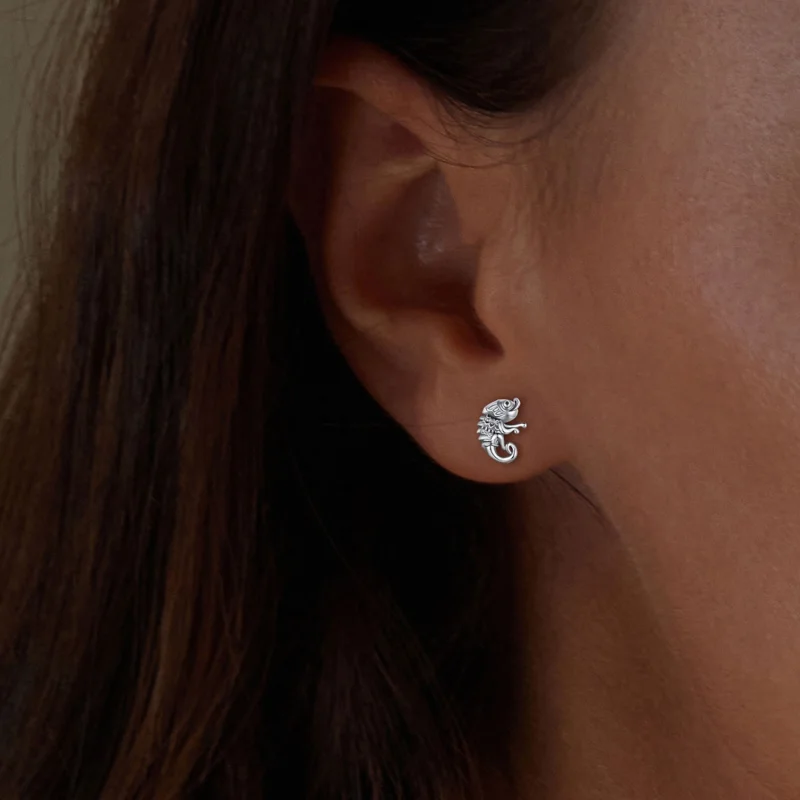 (afbeelding voor) Pandora-stijl Kameleon Studs Oorbellen - SCE1661 - Bekijken 5