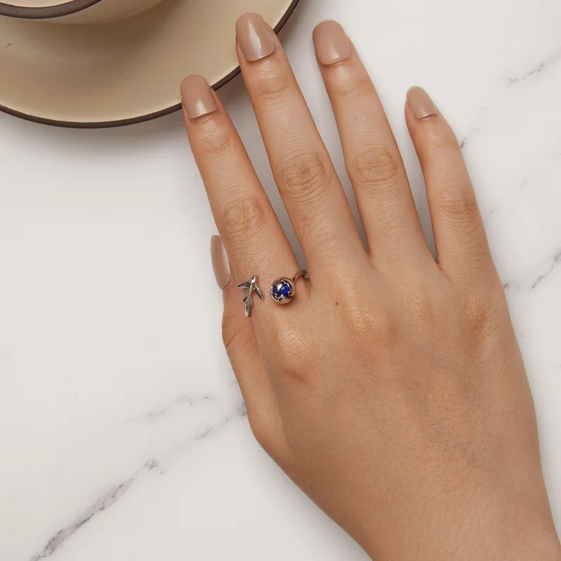 (afbeelding voor) Pandora Stijl Om De Wereld Open Ring - SCR959-E - Bekijken 5