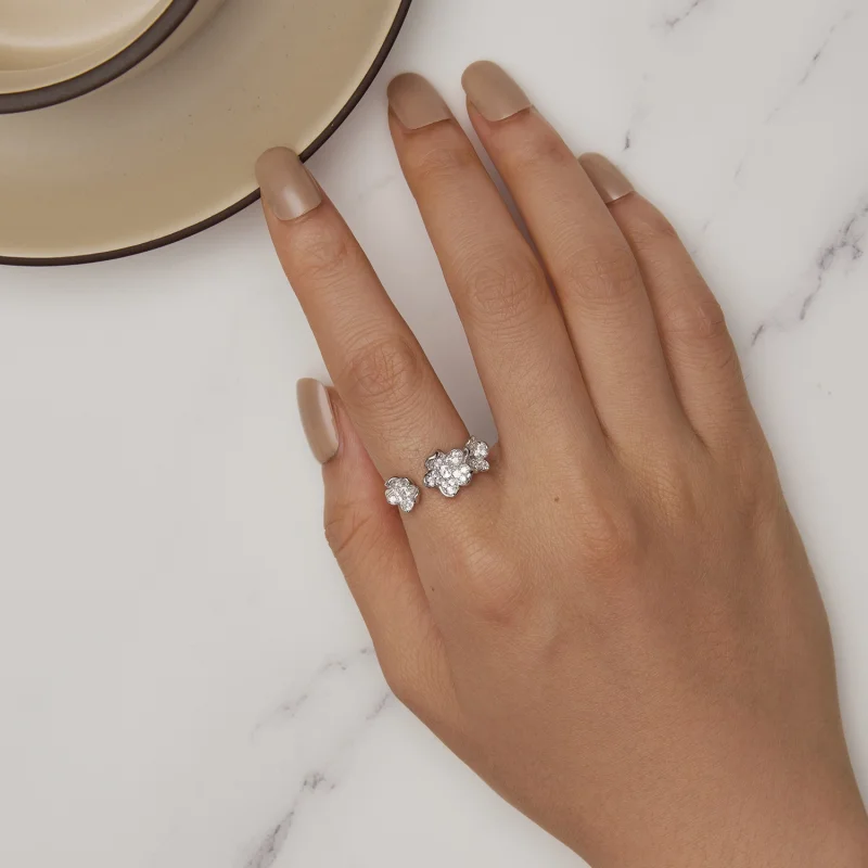 (afbeelding voor) Pandora Stijl Ring Vol Bloemen - BSR447 - Bekijken 5