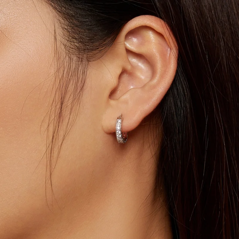 (afbeelding voor) Pandora-stijl Shine Hoepeloorbellen - BSE868 - Bekijken 5