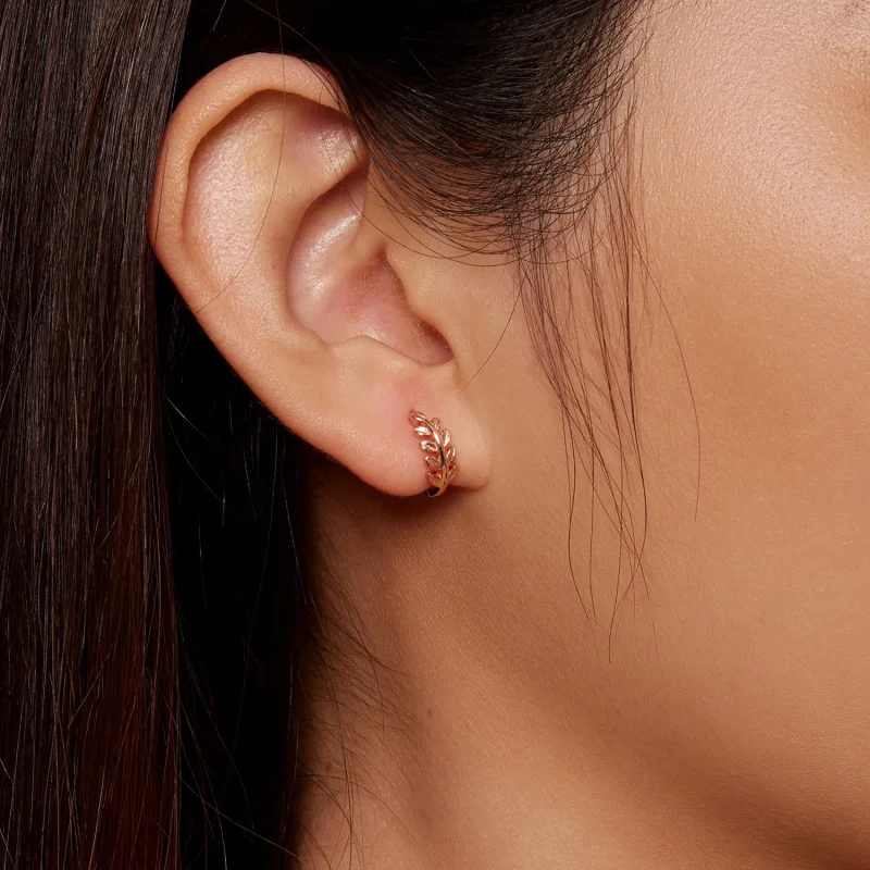 (afbeelding voor) Pandora Stijl Bladeren Hoops Oorbellen - BSE500-C - Bekijken 7