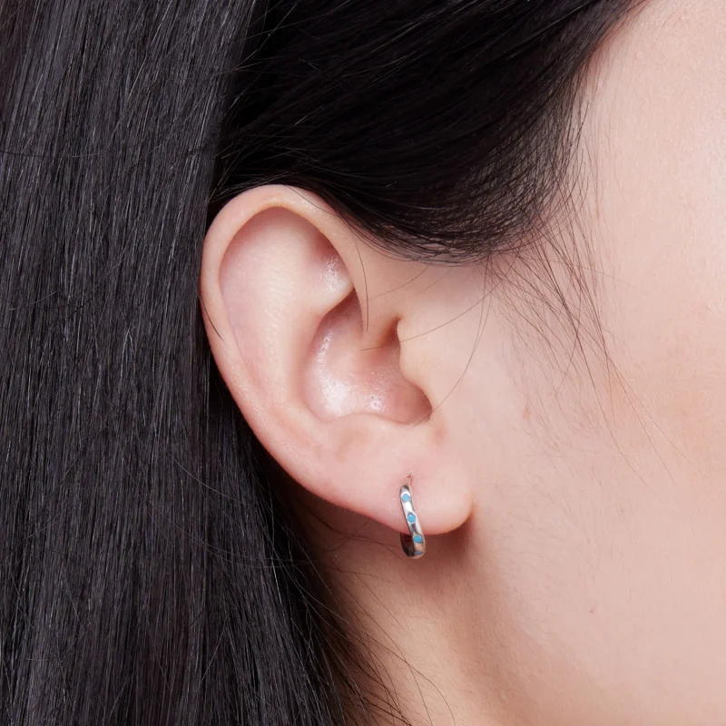 (afbeelding voor) Pandora-stijl golfhoepel oorbellen - SCE1593 - Bekijken 5