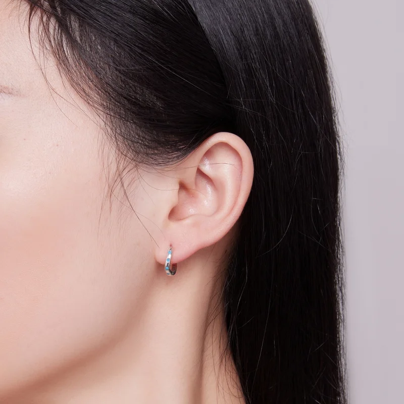 (afbeelding voor) Pandora-stijl golfhoepel oorbellen - SCE1593 - Bekijken 6