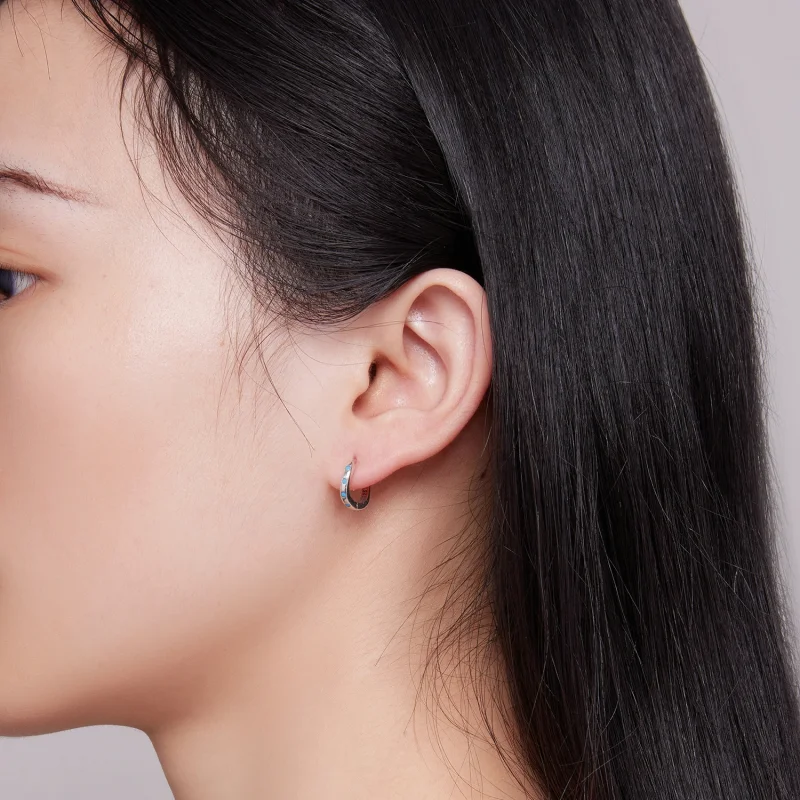 (afbeelding voor) Pandora-stijl golfhoepel oorbellen - SCE1593 - Bekijken 7