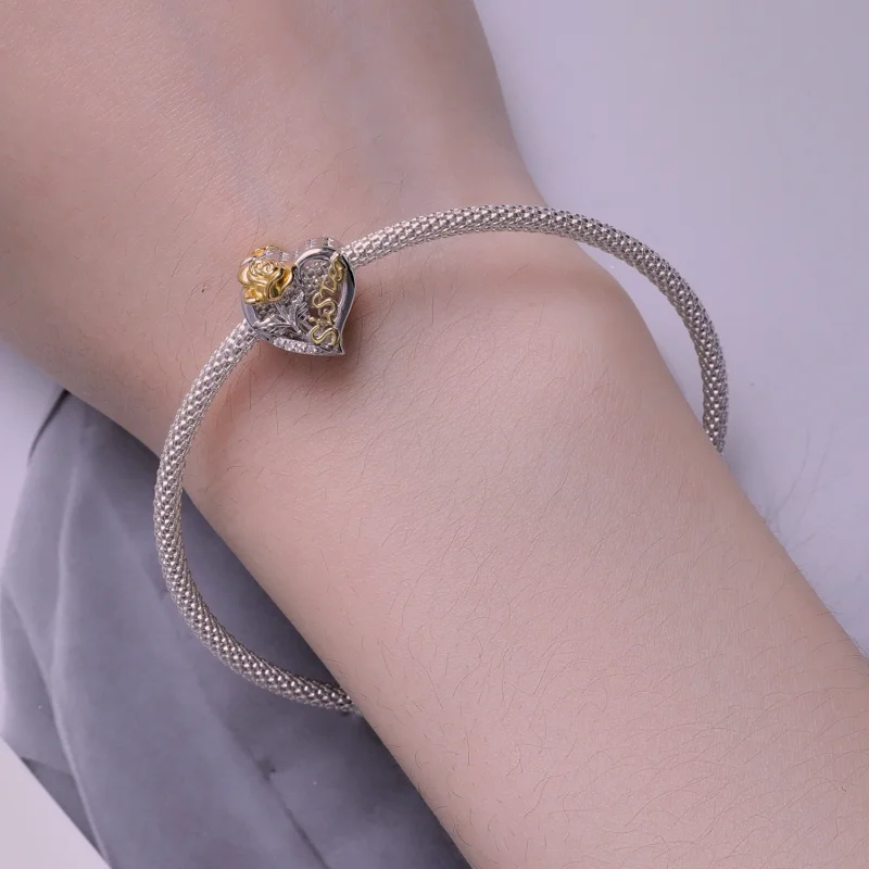 (afbeelding voor) Pandora Stijl Zussen Bedel - BSC841 - Bekijken 6