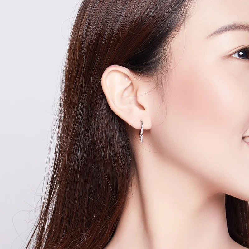 (afbeelding voor) Pandora Style Geometrie Oorhangers - SCE744 - Bekijken 6