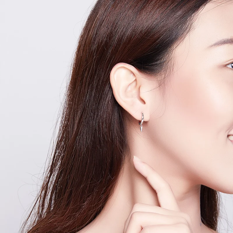 (afbeelding voor) Pandora Style Geometrie Oorhangers - SCE744 - Bekijken 7