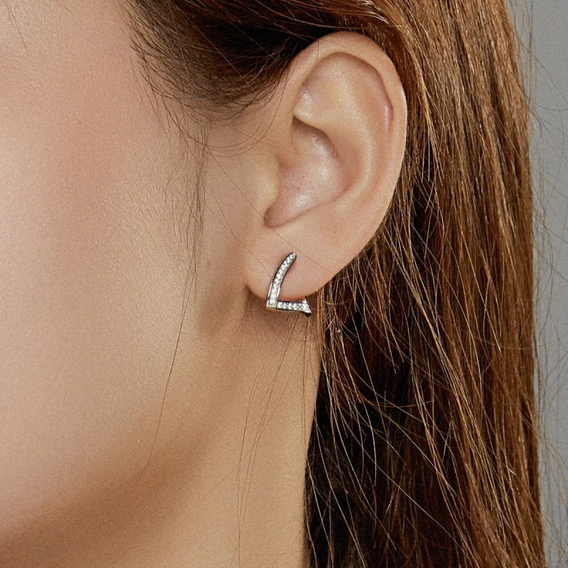 (afbeelding voor) Pandora Style Geometrisch Oorringen - SCE975 - Bekijken 7