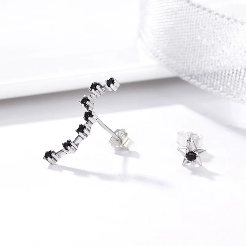 (afbeelding voor) Pandora Style Grote Beer Oorknopjes - SCE166 - Bekijken 5