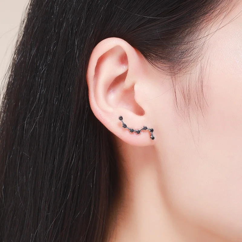 (afbeelding voor) Pandora Style Grote Beer Oorknopjes - SCE166 - Bekijken 7