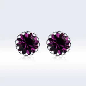 (afbeelding voor) Pandora Style Grote speciale zus Oorknopjes - SCE862-2