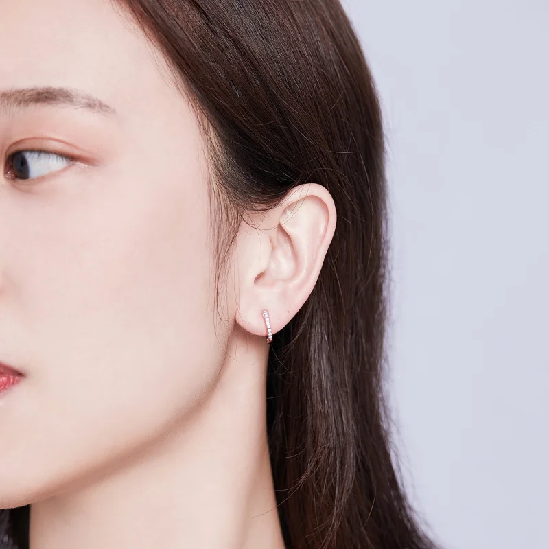 (afbeelding voor) Pandora Style kleine cirkel Oorringen - SCE498-A - Bekijken 5