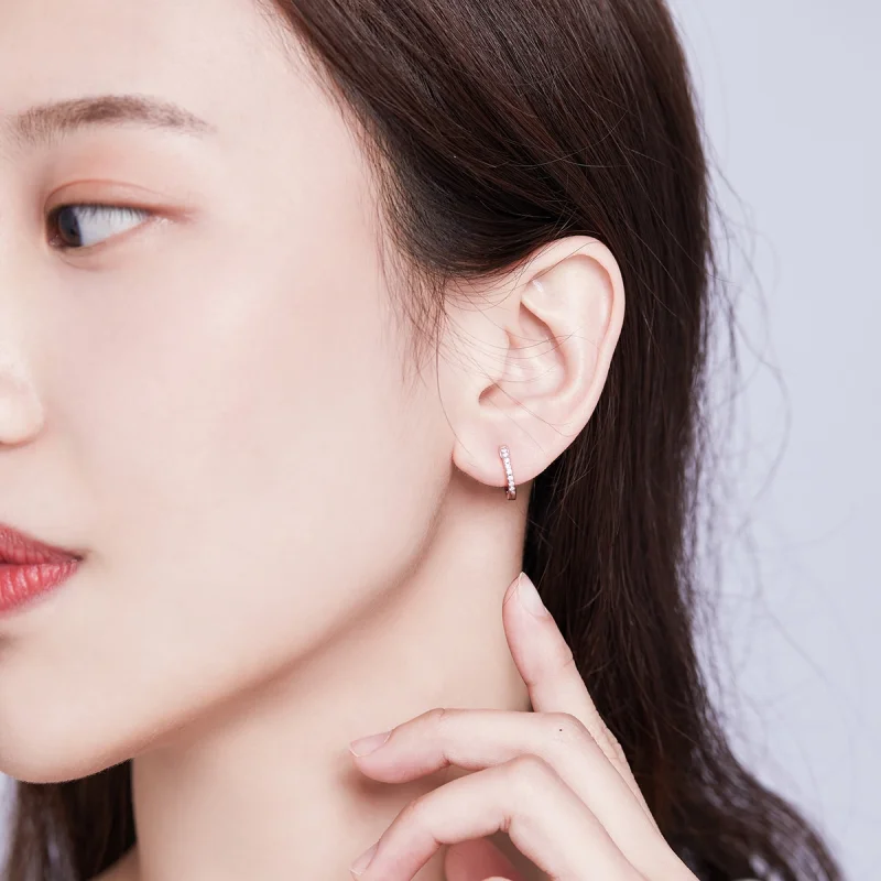 (afbeelding voor) Pandora Style kleine cirkel Oorringen - SCE498-A - Bekijken 6