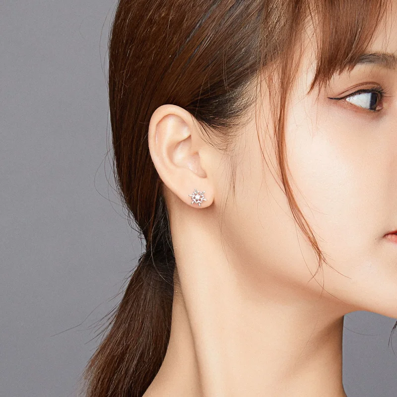 (afbeelding voor) Pandora Style Romantische sneeuwvlokken Oorknopjes - BSE424 - Bekijken 6