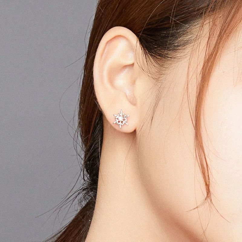 (afbeelding voor) Pandora Style Romantische sneeuwvlokken Oorknopjes - BSE424 - Bekijken 8