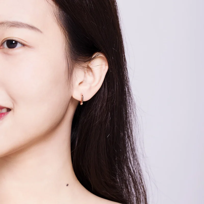 (afbeelding voor) Pandora Style Rose Eenvoudig Oorringen - BSE119 - Bekijken 8