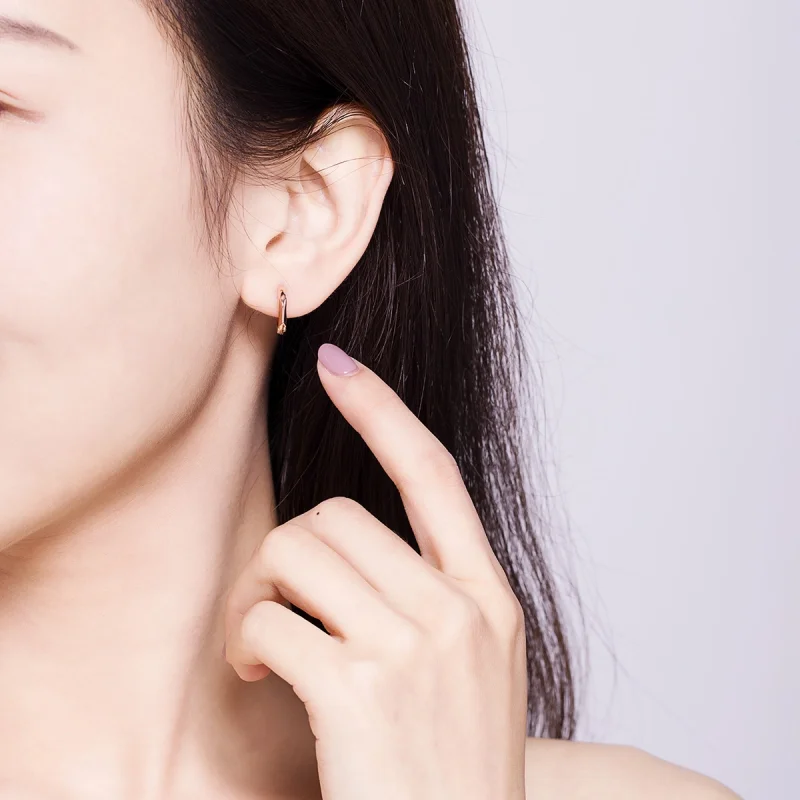 (afbeelding voor) Pandora Style Rose Eenvoudig Oorringen - BSE119 - Bekijken 9