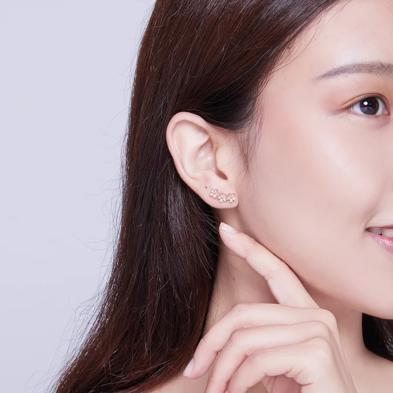 (afbeelding voor) Pandora Style Rose Gecontracteerde Daisy Oorknopjes - SCE419-C - Bekijken 4