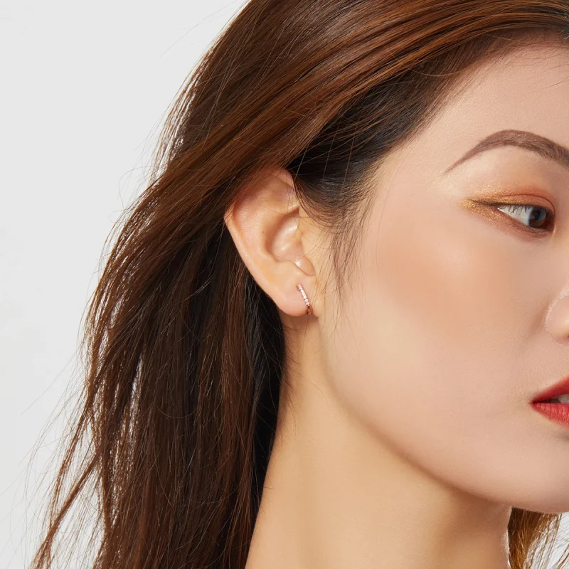 (afbeelding voor) Pandora Style Rose kleine cirkel Oorringen - SCE498-C - Bekijken 7