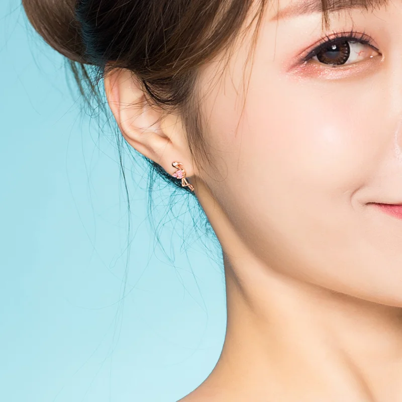 (afbeelding voor) Pandora Style Rose Reuzenrad Oorknopjes - BSE120 - Bekijken 7