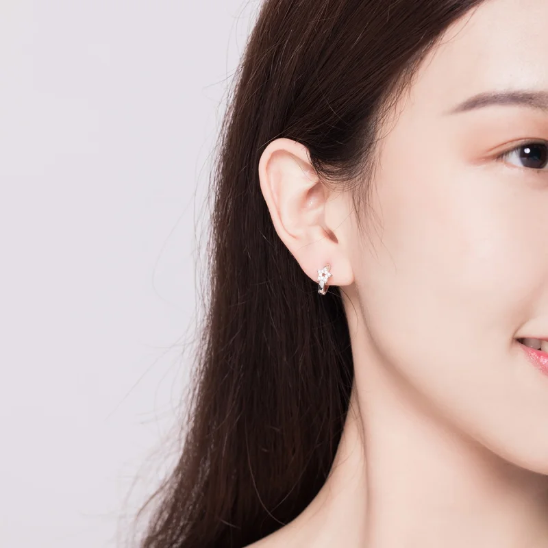 (afbeelding voor) Pandora Style Sterrenlicht Oorringen - BSE172 - Bekijken 7