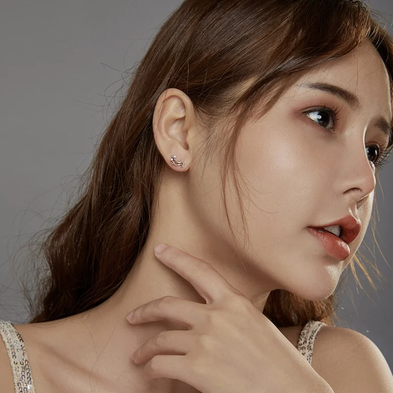 (afbeelding voor) Pandora Style Teckel Oorknopjes - SCE952 - Bekijken 6