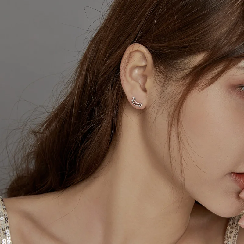 (afbeelding voor) Pandora Style Teckel Oorknopjes - SCE952 - Bekijken 8