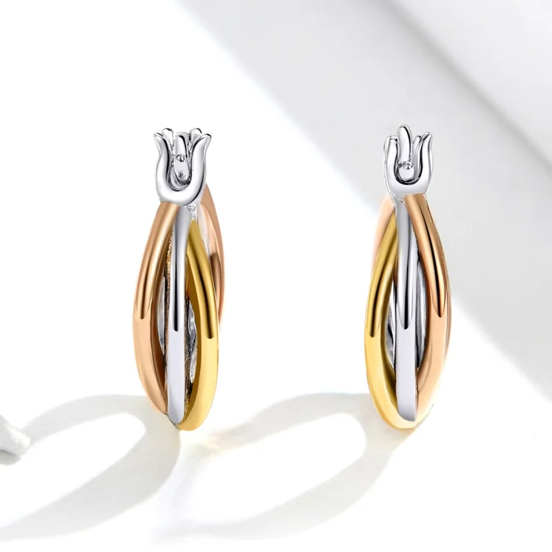 (afbeelding voor) Pandora Style Tweekleurig Oorknopjes - SCE719 - Bekijken 4