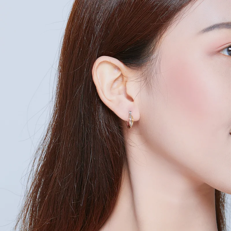 (afbeelding voor) Pandora Style Tweekleurig Oorknopjes - SCE719 - Bekijken 6