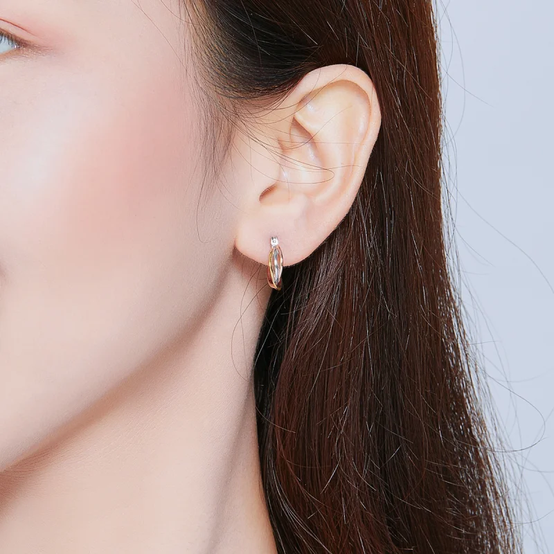 (afbeelding voor) Pandora Style Tweekleurig Oorknopjes - SCE719 - Bekijken 7