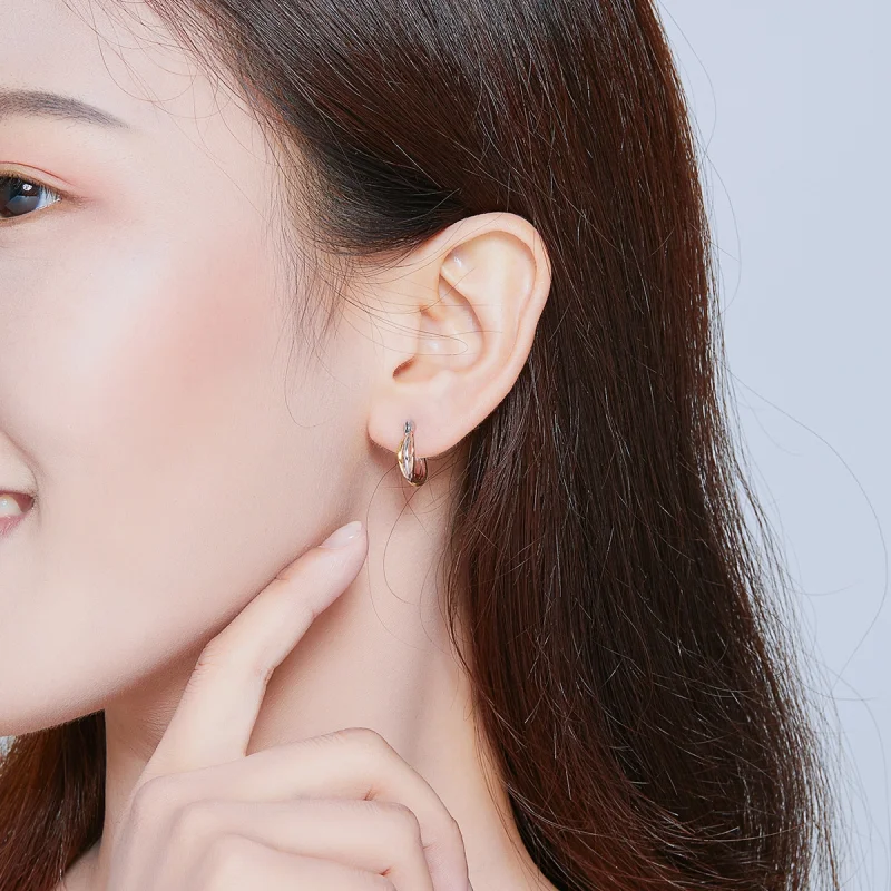 (afbeelding voor) Pandora Style Tweekleurig Oorknopjes - SCE719 - Bekijken 8