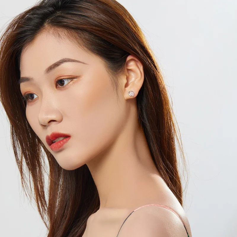 (afbeelding voor) Pandora Style Zorgzame hondenpoot Oorknopjes - SCE654-PK - Bekijken 6