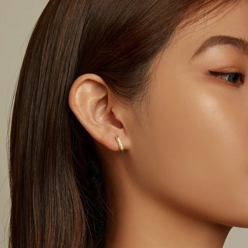 (afbeelding voor) Pandora Style Eenvoudig kleurcontrast Oorbellen - SCE1371-GN - Bekijken 7