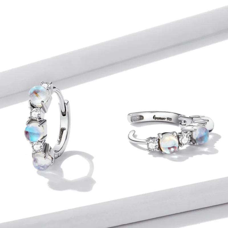 (afbeelding voor) Pandora Style Eenvoudig Oorbellen - BSE532 - Bekijken 3