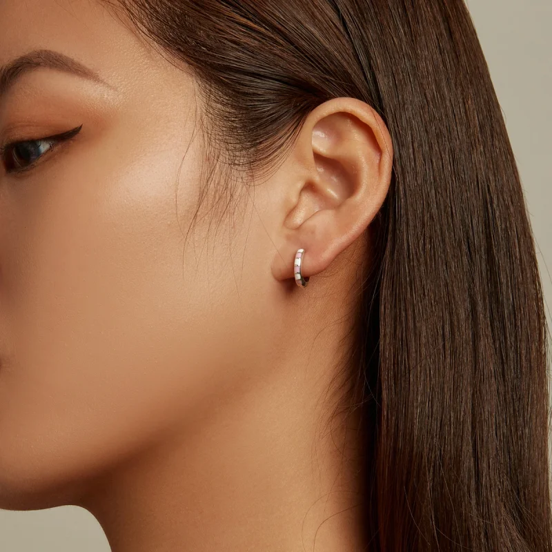 (afbeelding voor) Pandora Style Eenvoudig raster Oorbellen - SCE1372 - Bekijken 5