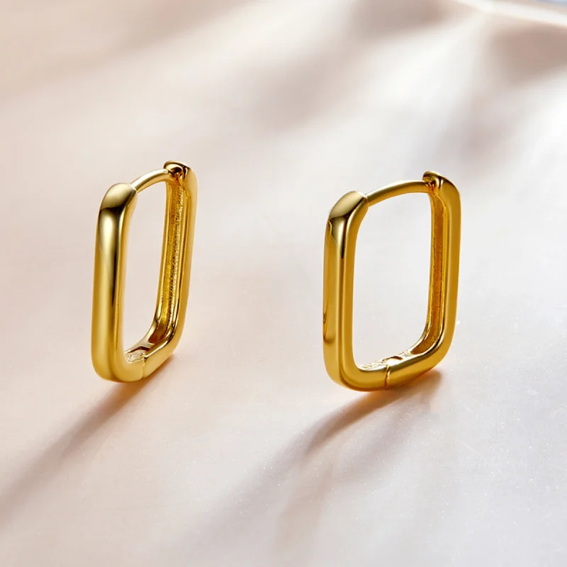 (afbeelding voor) Pandora Style Frans Oorbellen - BSE478-B - Bekijken 2