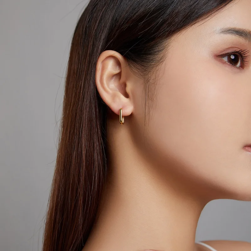 (afbeelding voor) Pandora Style Frans Oorbellen - BSE478-B - Bekijken 5