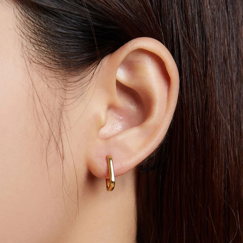 (afbeelding voor) Pandora Style Frans Oorbellen - BSE478-B - Bekijken 6