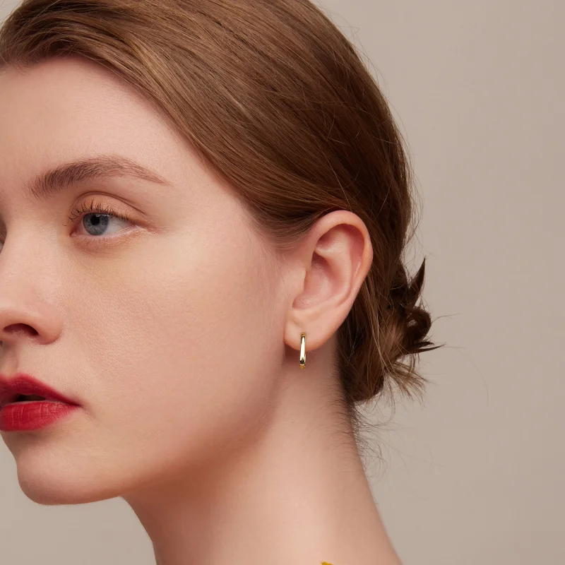 (afbeelding voor) Pandora Style Frans Oorbellen - BSE478-B - Bekijken 10