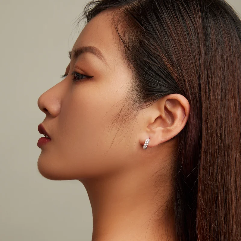 (afbeelding voor) Pandora Style Geraffineerde Zirkoon Oorbellen - BSE730 - Bekijken 7