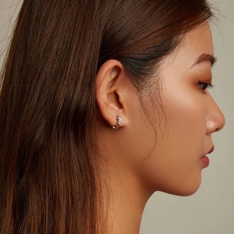 (afbeelding voor) Pandora Style Kleurrijke Klauwen Oorbellen - BSE580 - Bekijken 8