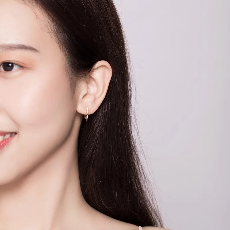 (afbeelding voor) Pandora Style Onregelmatige geometrie Oorbellen - BSE168 - Bekijken 5