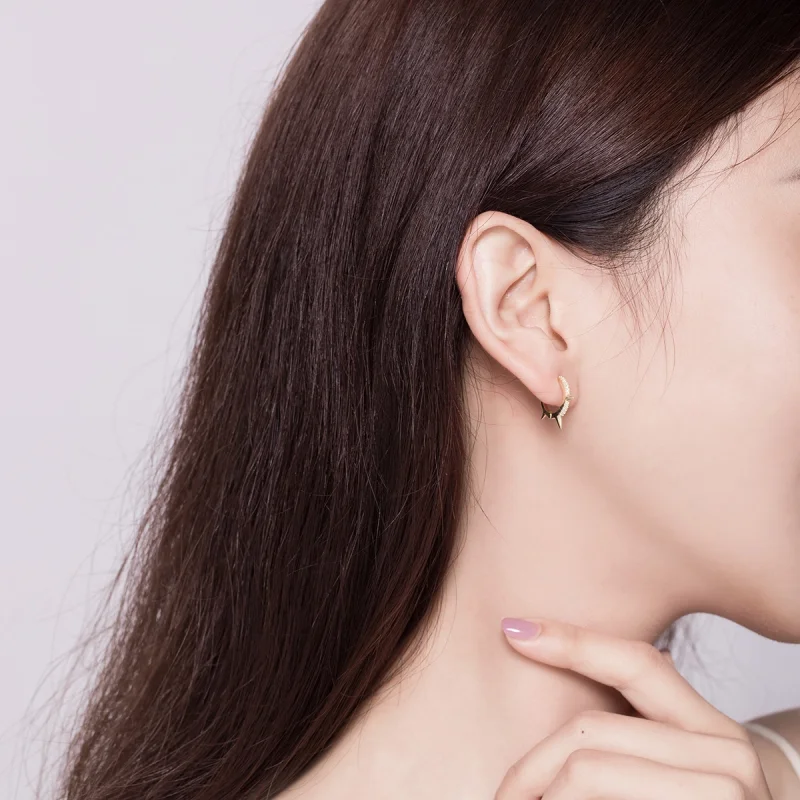 (afbeelding voor) Pandora Style Onregelmatige geometrie Oorbellen - BSE168 - Bekijken 6