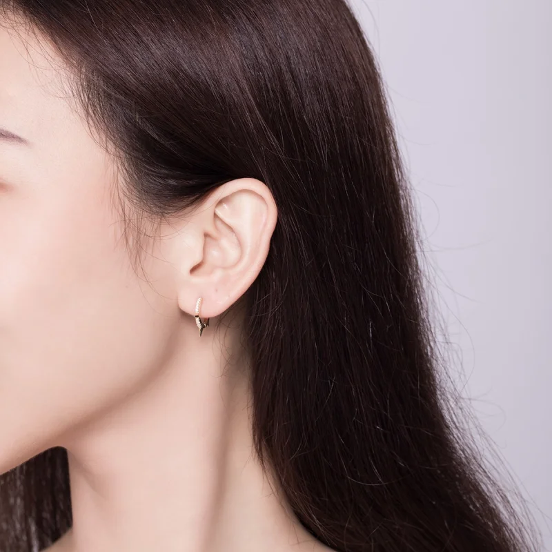 (afbeelding voor) Pandora Style Onregelmatige geometrie Oorbellen - BSE168 - Bekijken 7