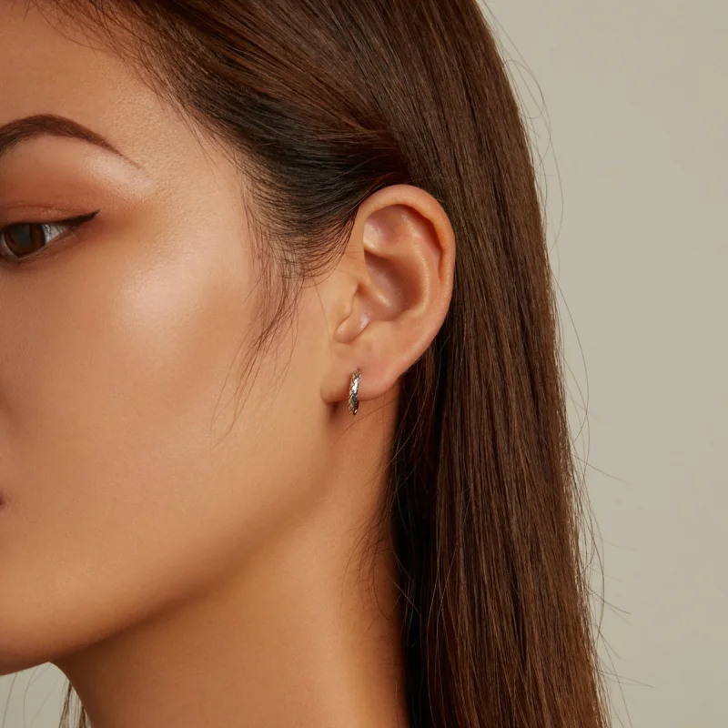 (afbeelding voor) Pandora Style Slangenpatroon Oorbellen - SCE1354 - Bekijken 6